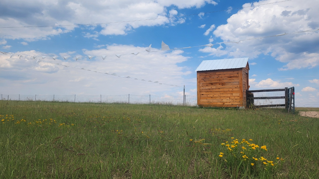 Open Sky Bake Stand, a cedar stand on the Colorado prairie under a wide sky
